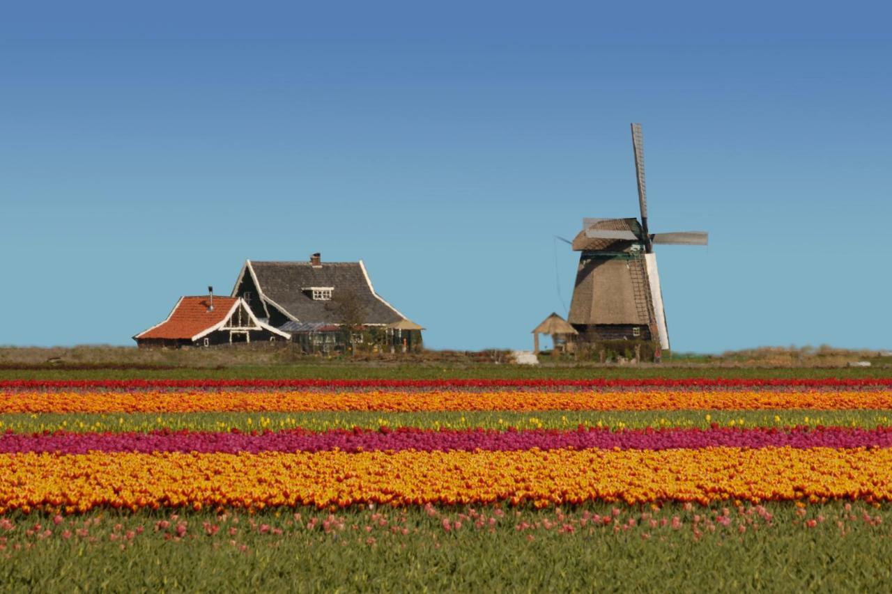 Het Dobbertje, Charmant Houten Huisje Sint Maartensvlotbrug ภายนอก รูปภาพ