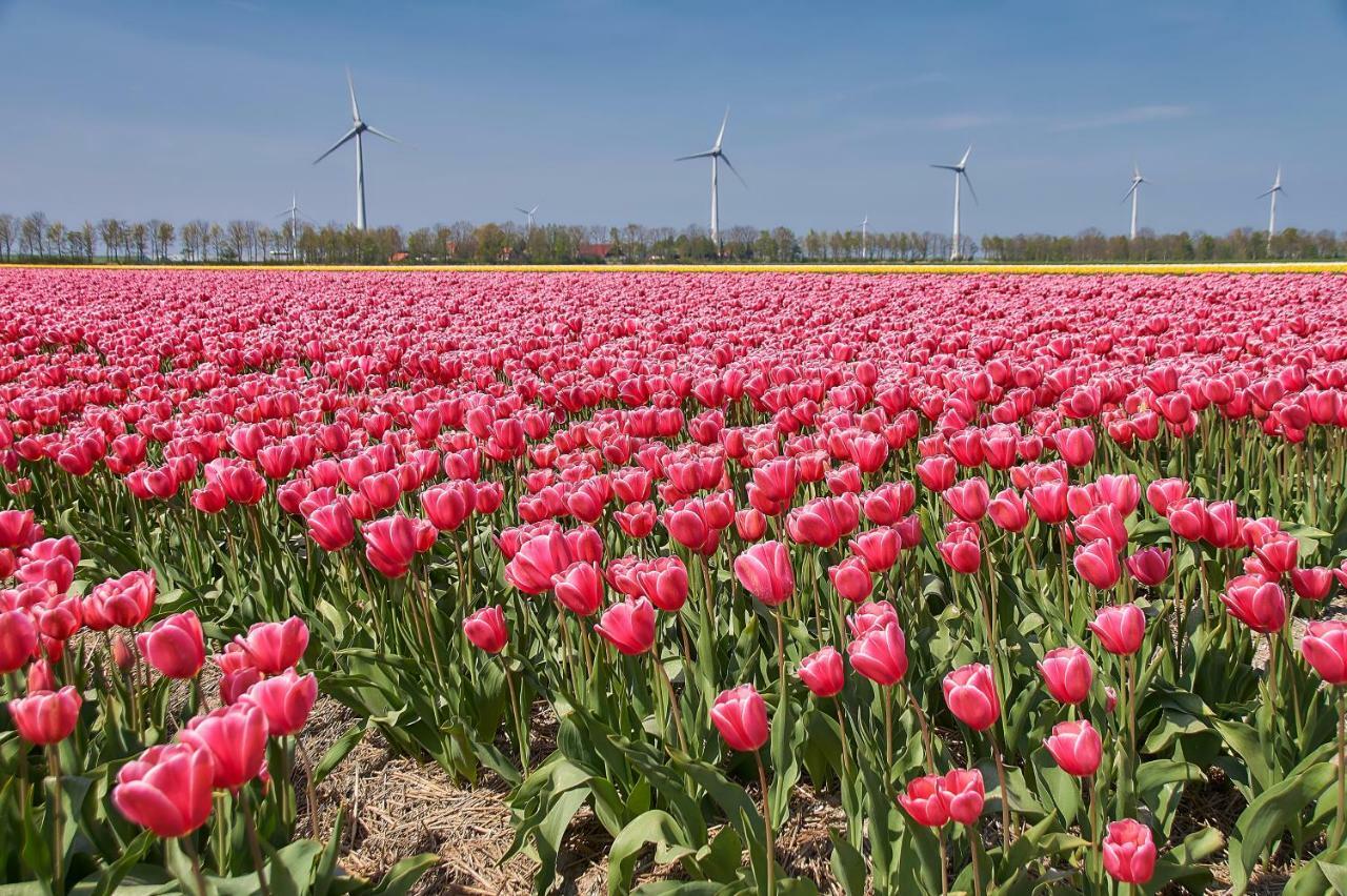 Het Dobbertje, Charmant Houten Huisje Sint Maartensvlotbrug ภายนอก รูปภาพ